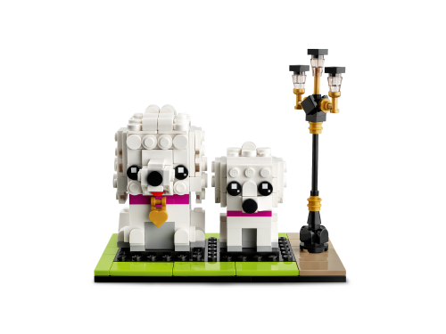 Set 40546