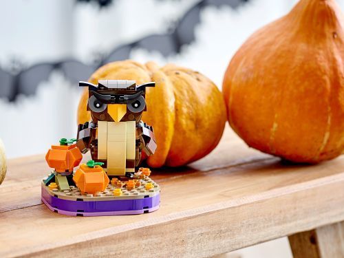 Set 40497