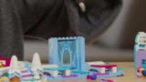 Set 43281
