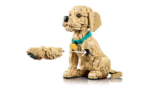Set 11384