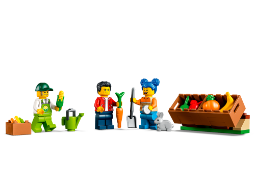 Set 60345