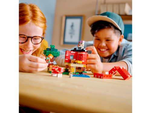 Set 21179