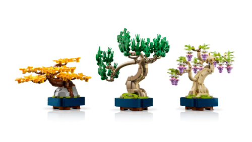 Set 10373