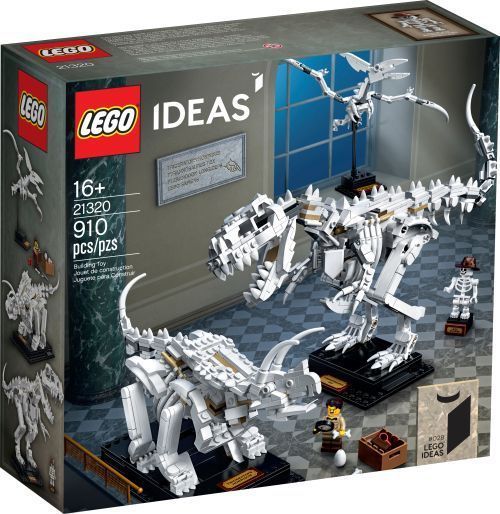 Set 21320