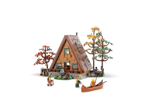 Set 21338