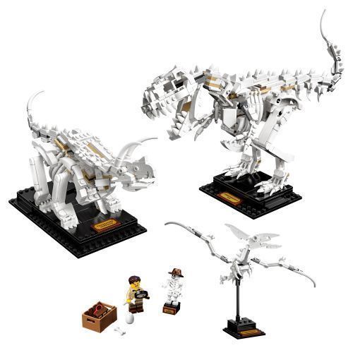 Set 21320