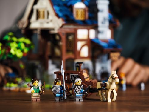 Set 21325