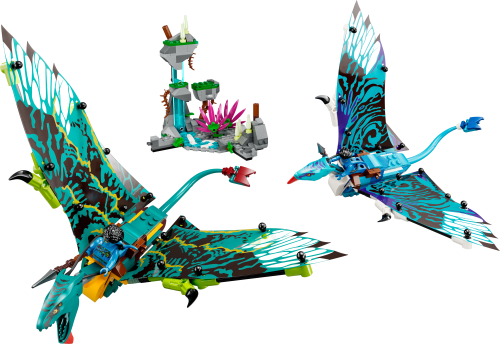 Set 75572