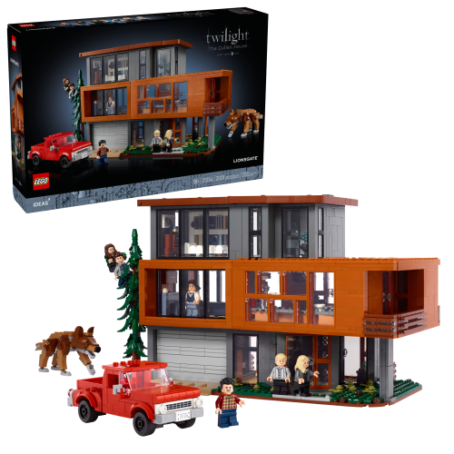 Set 21354