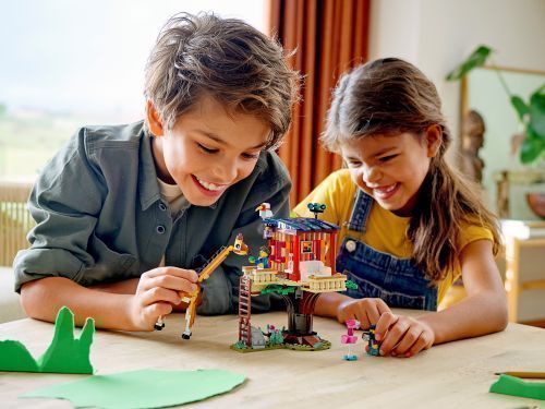 Set 31116
