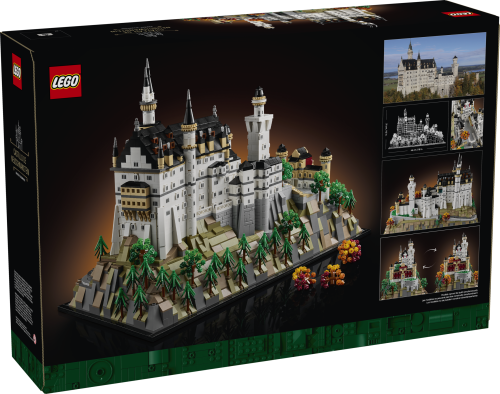 Set 21063