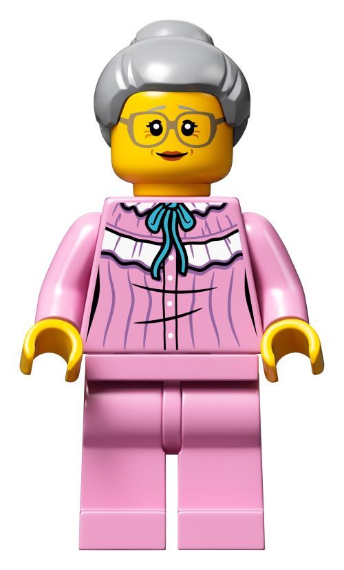 Set 21315