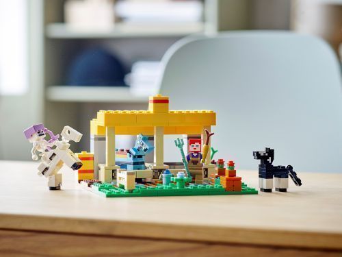 Set 21171