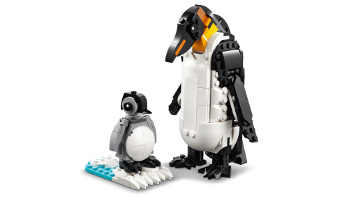 Set 31165