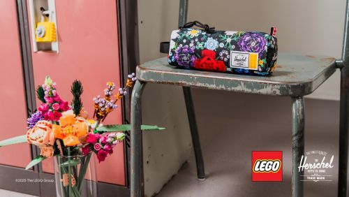 Set 5009293