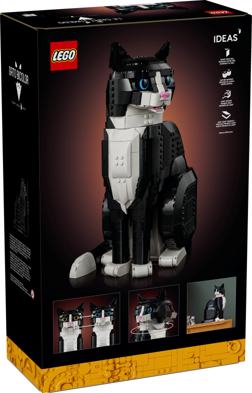 Set 21349