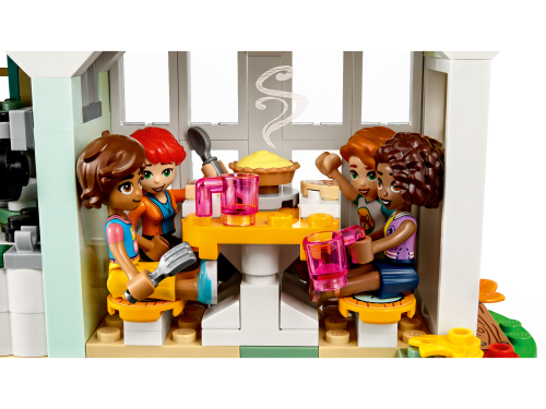 Set 41730