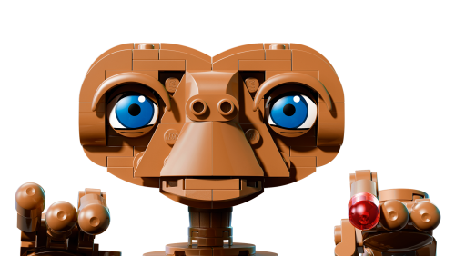 Set 21370
