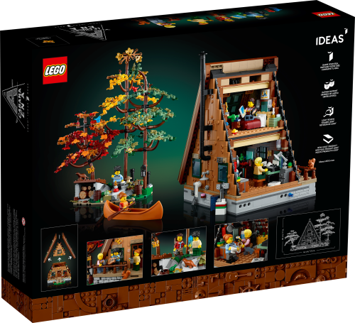 Set 21338