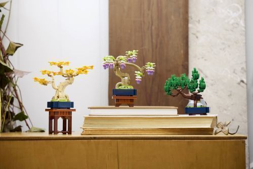 Set 10373