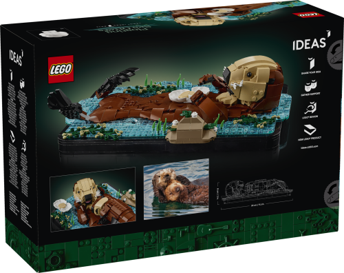 Set 21366