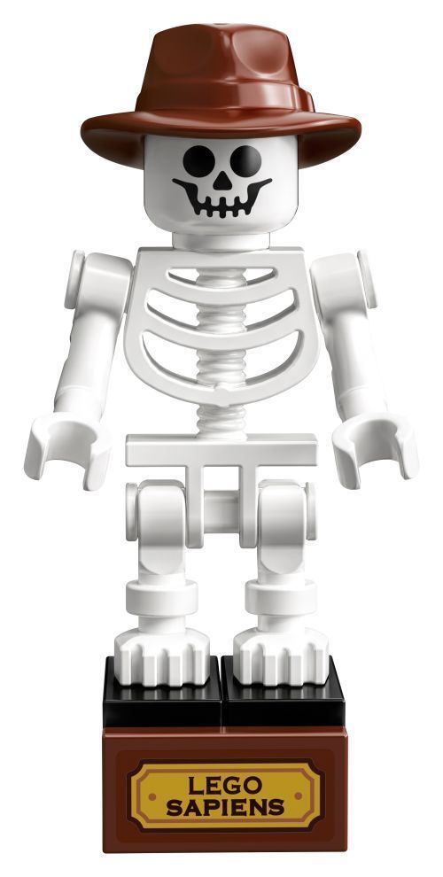Set 21320