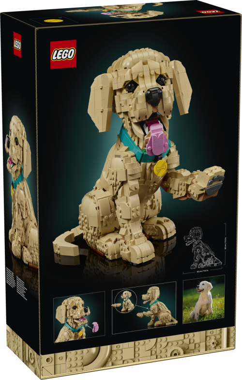 Set 11384