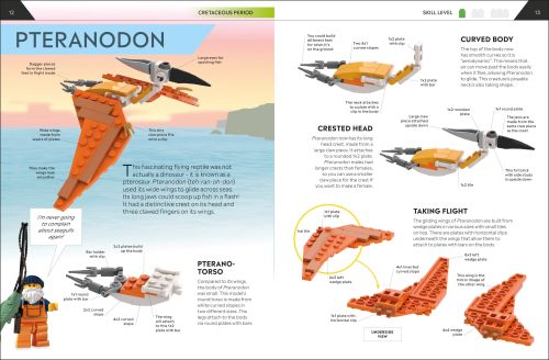 Set 5007582