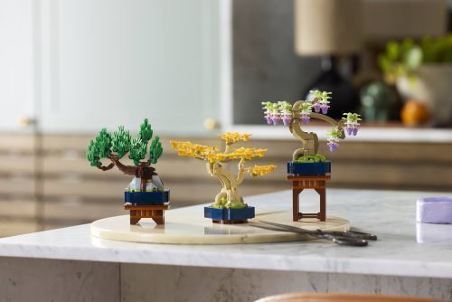 Set 10373