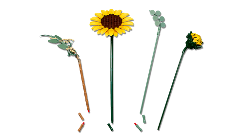 Set 11502