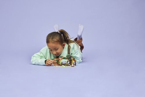 Set 75687