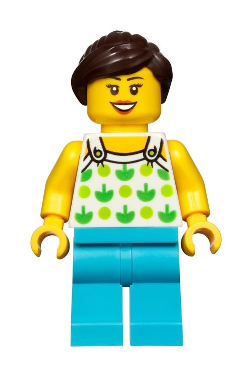 Set 10268