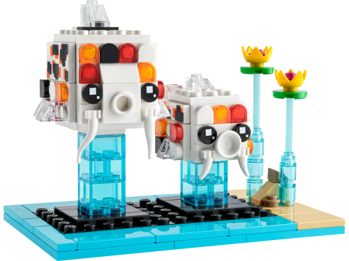 Set 40545