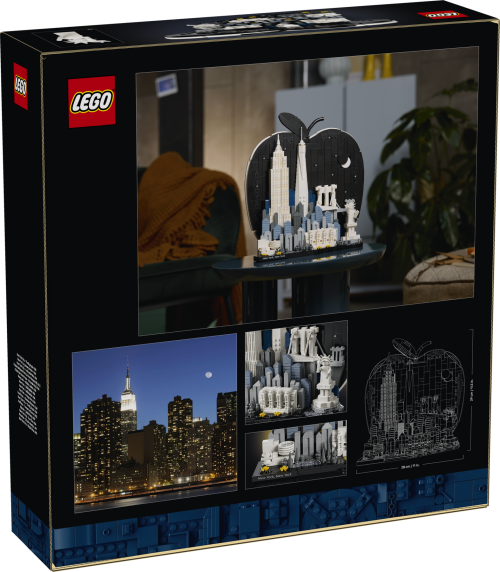 Set 21066