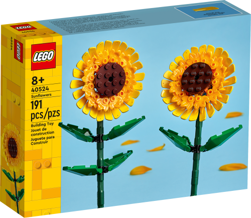 Set 40524