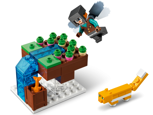 Set 21173
