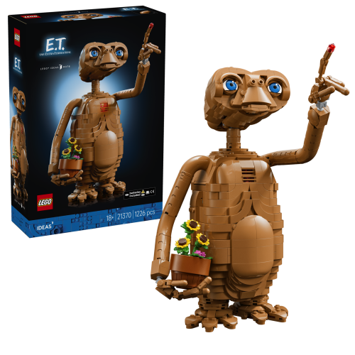 Set 21370