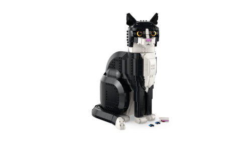 Set 21349