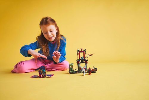 Set 71841