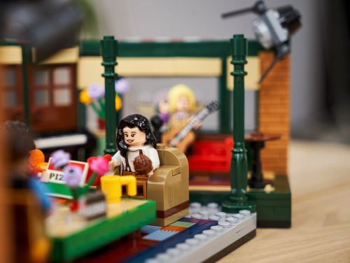 Set 21319