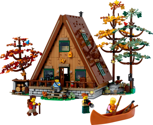 Set 21338