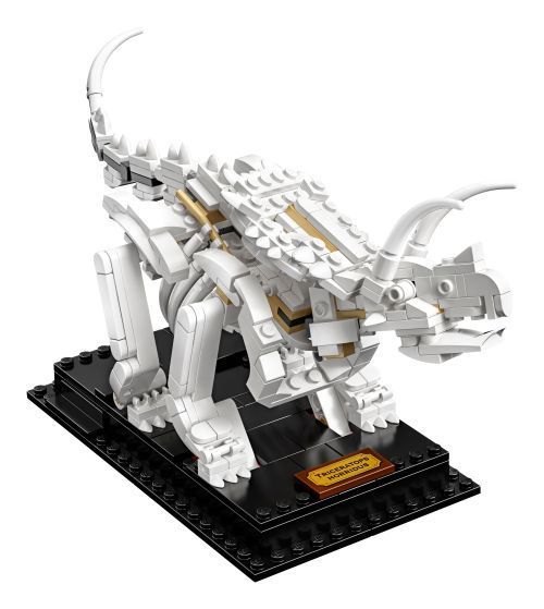 Set 21320