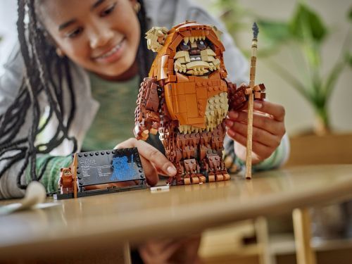 Set 75430