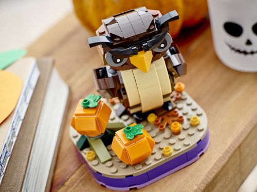 Set 40497