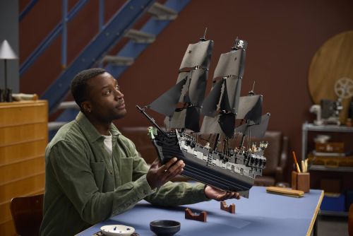 Set 10365