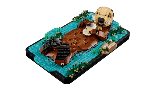 Set 21366
