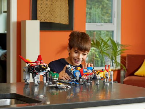 Set 21311