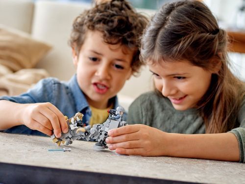 Set 75298