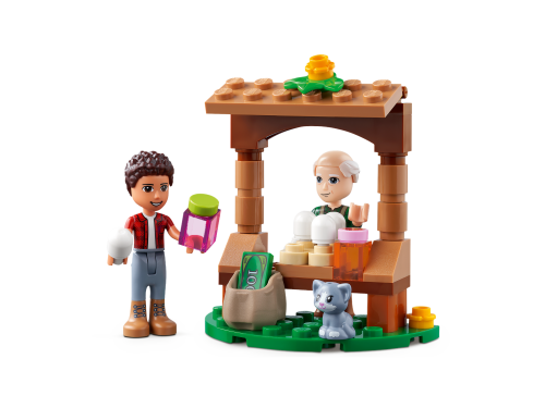 Set 41721
