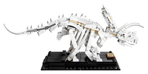 Set 21320